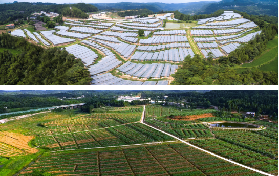 全力助推四川巴中恩陽區委托招商引資，合力打造產業新城