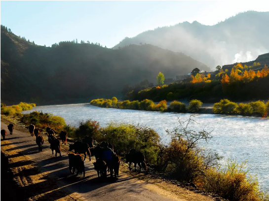 集團(tuán)全力助推甘肅甘南藏族自治州合作市委托招商引資，搶占發(fā)展先機(jī)壯大高原支柱產(chǎn)業(yè)