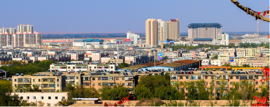集團助力甘肅省金昌經濟技術開發區委托招商引資，推動主導產業轉型發展