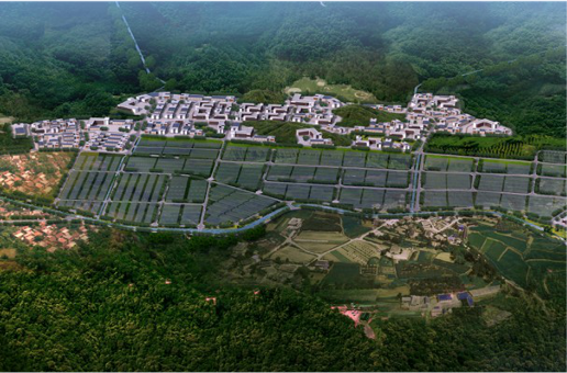 集團全力助推福建寧德周寧縣委托招商引資，強化特色產業實力，為全縣高質量發展增添新動力