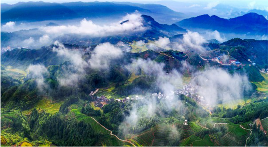 集團全力助推福建寧德周寧縣委托招商引資，強化特色產業實力，為全縣高質量發展增添新動力