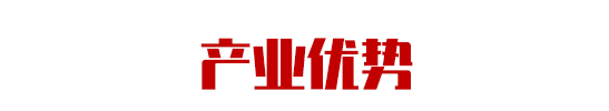 產(chǎn)業(yè)優(yōu)勢