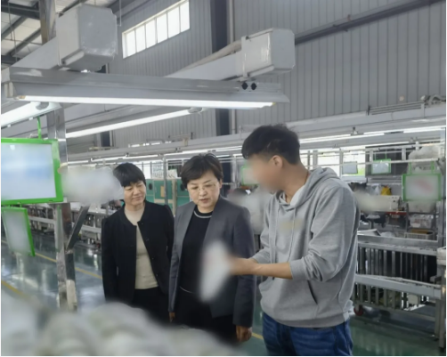 專業務實，助力合作提速！集團精準推介3家優質投資選址企業對接地方政府