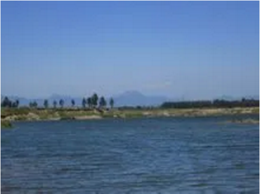 東方龍商務(wù)集團助力河北高邑縣委托招商引資，以“新經(jīng)濟”撬動“新引擎”