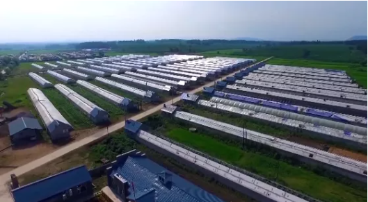 集團全力助推吉林省通化市輝南縣委托招商引資，做大做強四大特色產業集群