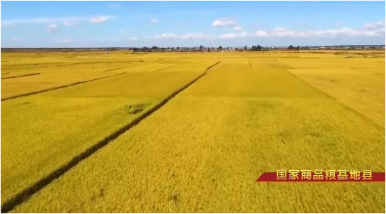 集團全力助推吉林省通化市輝南縣委托招商引資，做大做強四大特色產業集群