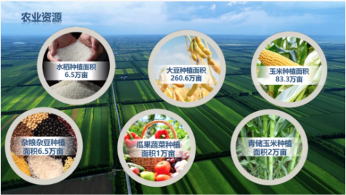 集團全力助推黑龍江齊齊哈爾拜泉縣委托招商引資，立足資源優(yōu)勢，開辟產業(yè)集群高質量發(fā)展新高地