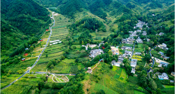 集團全力助推甘肅隴南康縣委托招商引資，以綠色發展推動鄉村振興
