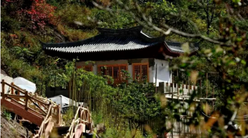 集團全力助推甘肅隴南康縣委托招商引資，以綠色發展推動鄉村振興