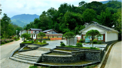 集團全力助推甘肅隴南康縣委托招商引資，以綠色發展推動鄉村振興