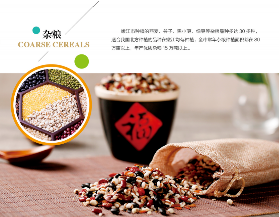 集團(tuán)全力助推黑龍江嫩江市委托招商引資，以6大優(yōu)勢(shì)助推地方產(chǎn)業(yè)高質(zhì)量發(fā)展