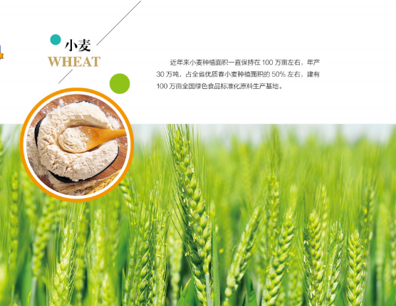 集團(tuán)全力助推黑龍江嫩江市委托招商引資，以6大優(yōu)勢(shì)助推地方產(chǎn)業(yè)高質(zhì)量發(fā)展
