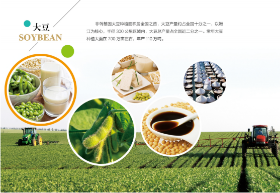 集團(tuán)全力助推黑龍江嫩江市委托招商引資，以6大優(yōu)勢(shì)助推地方產(chǎn)業(yè)高質(zhì)量發(fā)展