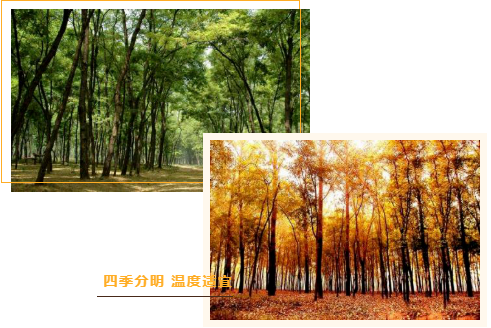 集團全力助推河南商丘民權(quán)縣委托招商引資，奮力打造民權(quán)特色產(chǎn)業(yè)發(fā)展高地
