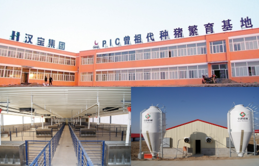 集團全力助推陜西淳化縣委托招商引資，打造優(yōu)勢特色產(chǎn)業(yè)集群