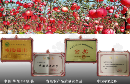 集團全力助推陜西淳化縣委托招商引資，打造優(yōu)勢特色產(chǎn)業(yè)集群
