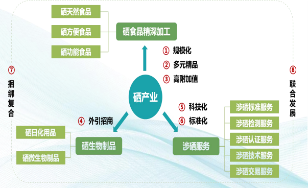 集團全力助推湖北恩施高新區委托招商引資，打造特色產業集群化發展新格局