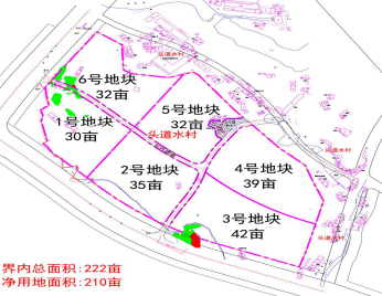 集團全力助推湖北恩施高新區委托招商引資，打造特色產業集群化發展新格局