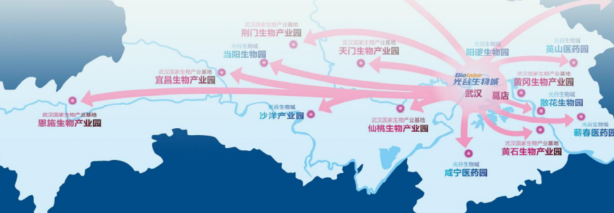 集團全力助推湖北恩施高新區委托招商引資，打造特色產業集群化發展新格局